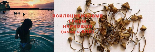 молекула духа Абинск